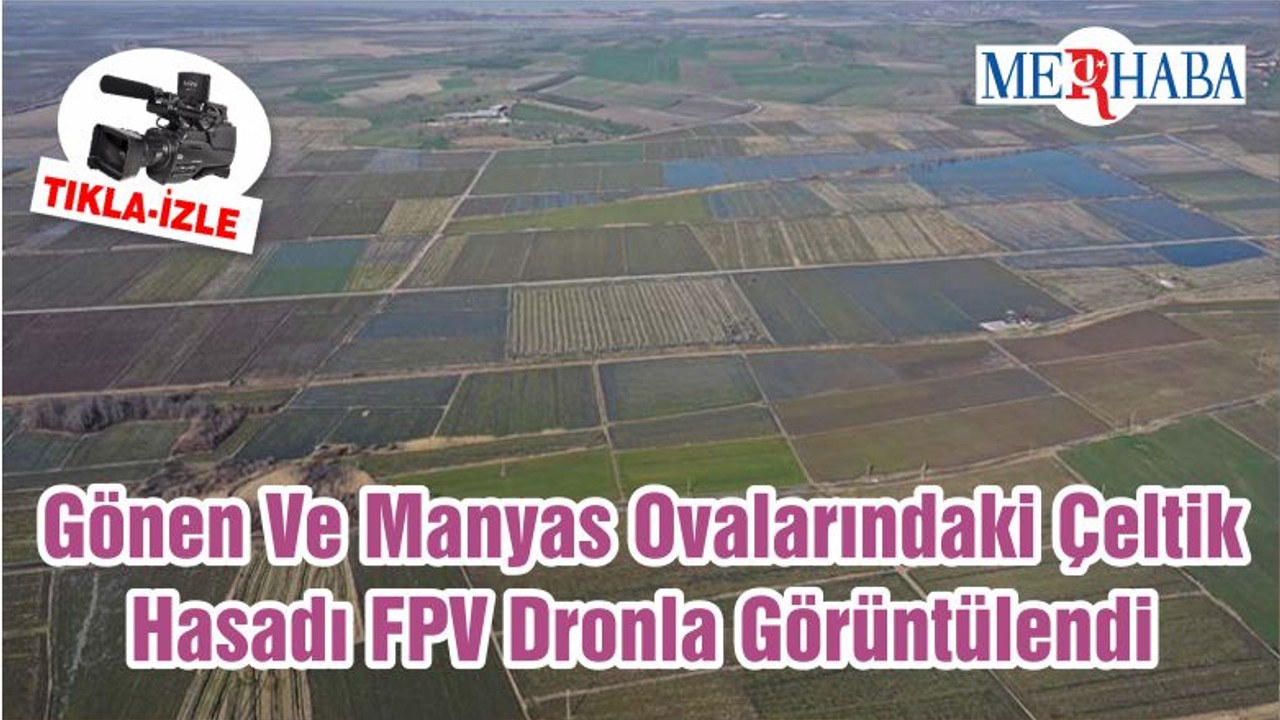 Gönen Ve Manyas Ovalarındaki Çeltik Hasadı FPV Dronla Görüntülendi