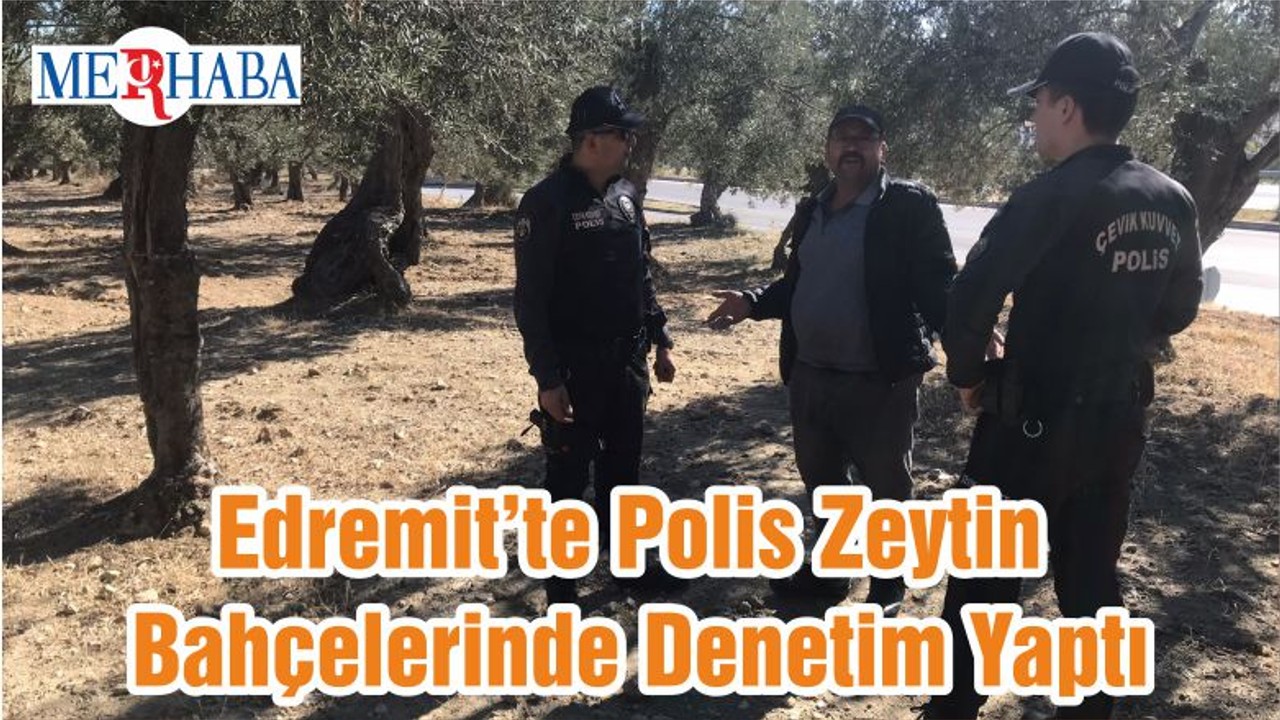 Edremit’te Polis Zeytin Bahçelerinde Denetim Yaptı