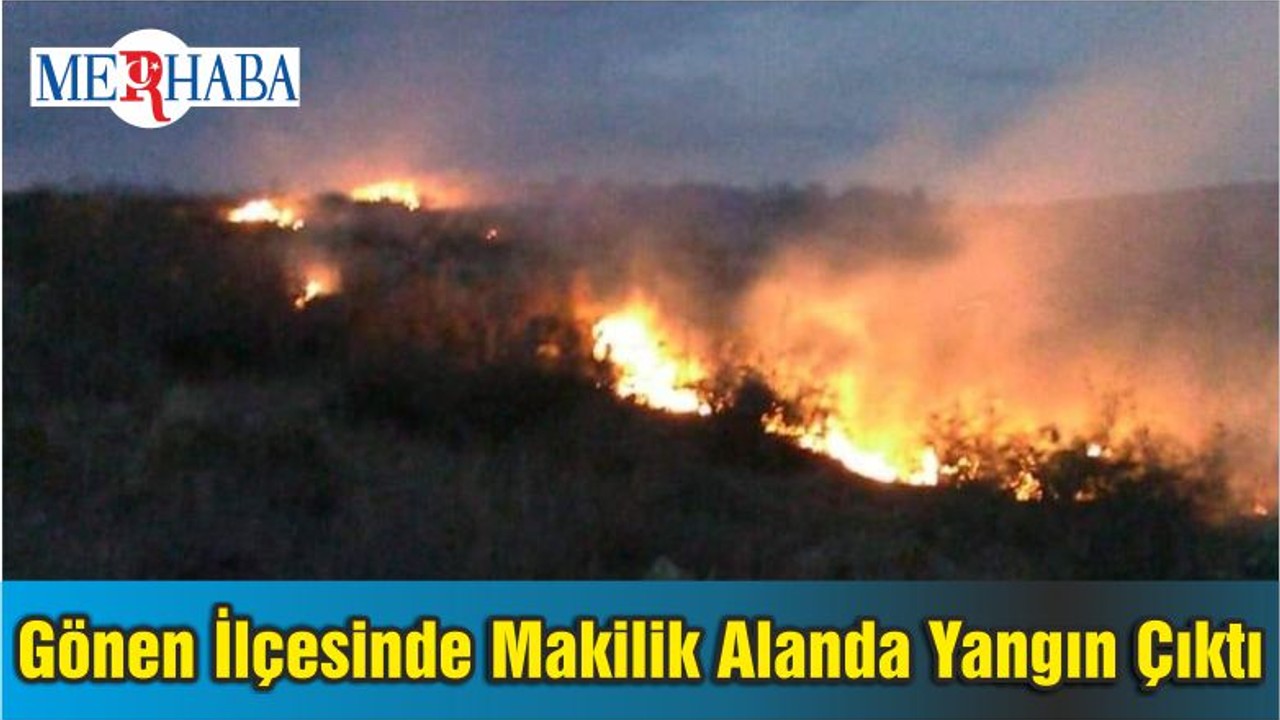Balıkesir'de Gönen İlçesinde Makilik Alanda Yangın Çıktı
