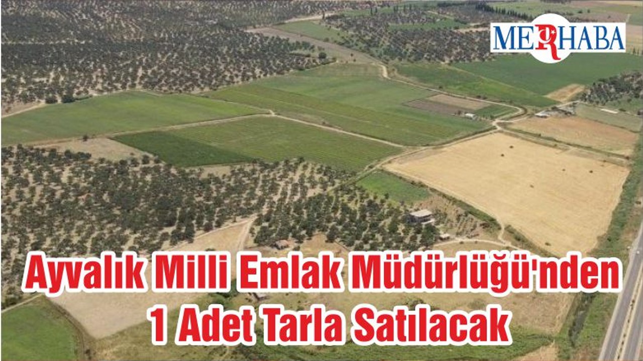 Ayvalık Milli Emlak Müdürlüğü'nden 1 Adet Tarla Satılacak