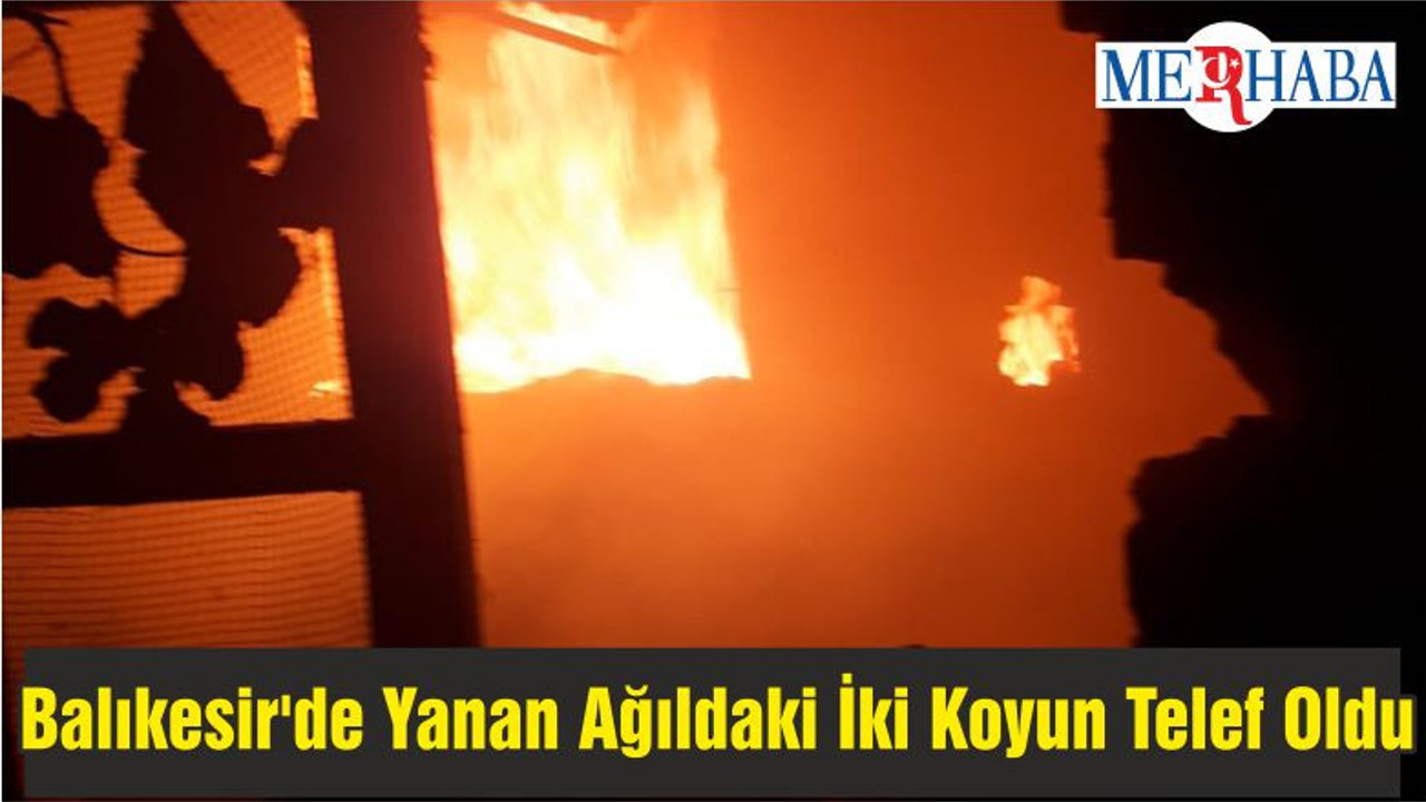 Balıkesir'de Yanan Ağıldaki İki Koyun Telef Oldu