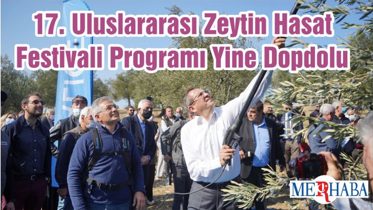 17. Uluslararası Zeytin Hasat Festivali Programı Yine Dopdolu