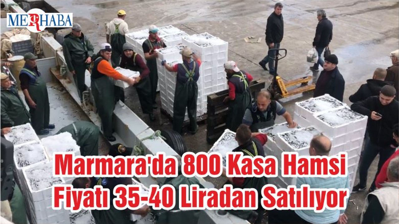 Marmara'da 800 Kasa Hamsi Fiyatı 35-40 Liradan Satılıyor