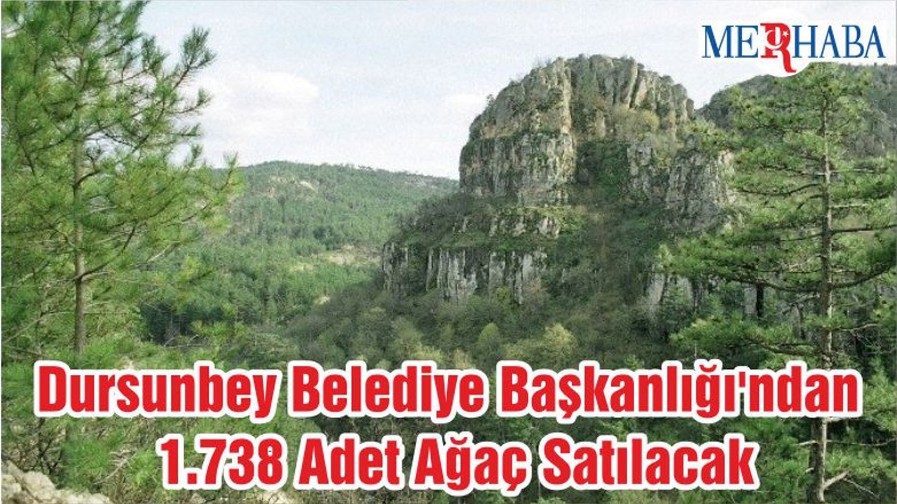 Dursunbey Belediye Başkanlığı'ndan 1.738 Adet Ağaç Satılacak