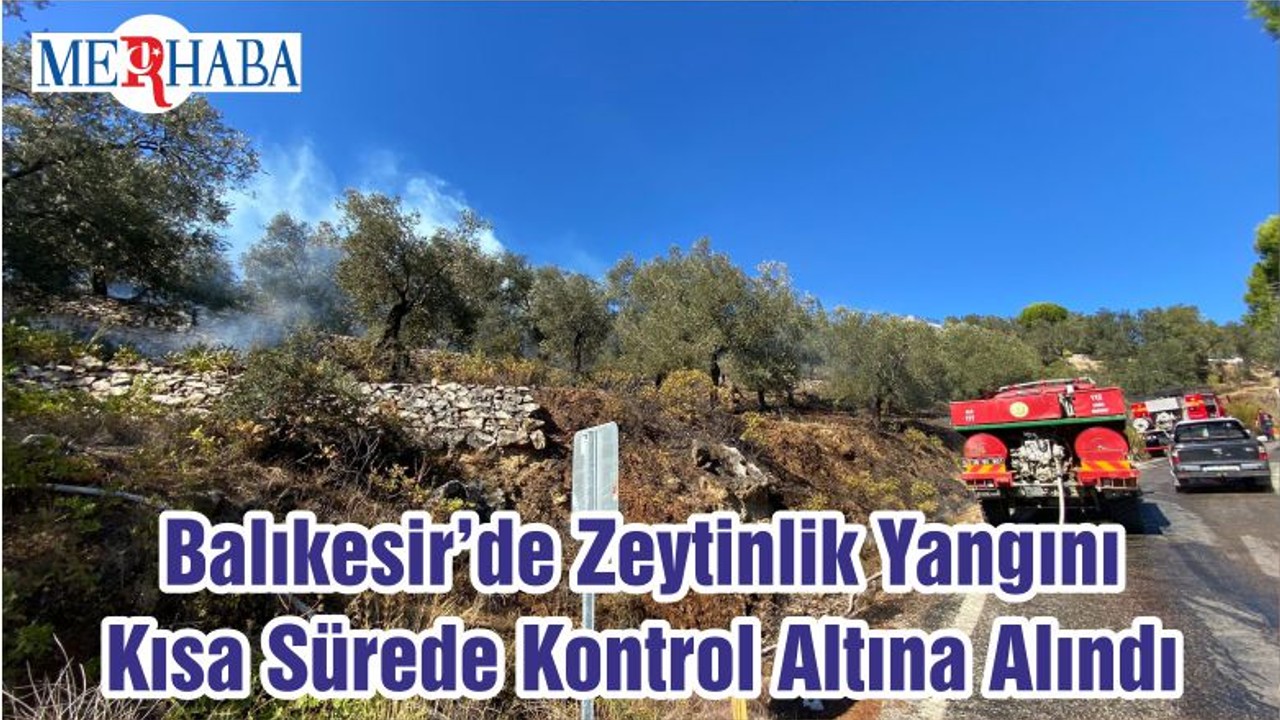 Balıkesir’de Zeytinlik Yangını Kısa Sürede Kontrol Altına Alındı