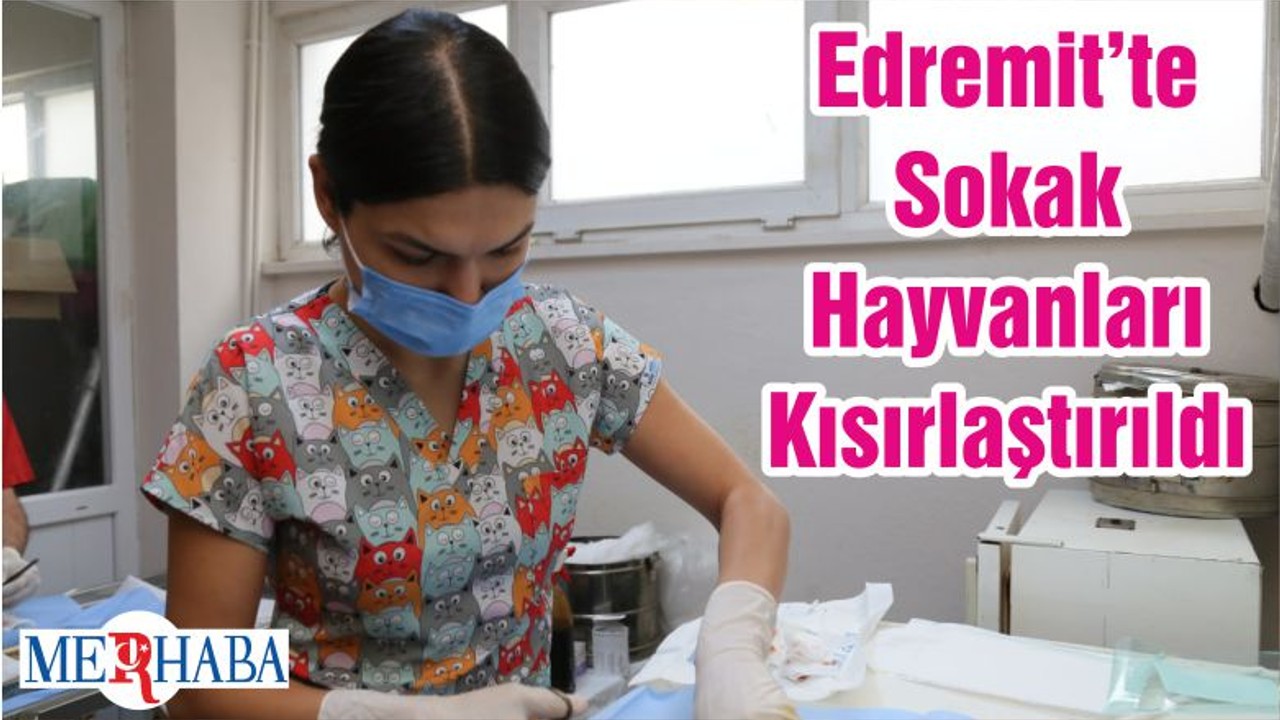 Edremit’te Sokak Hayvanları Kısırlaştırıldı