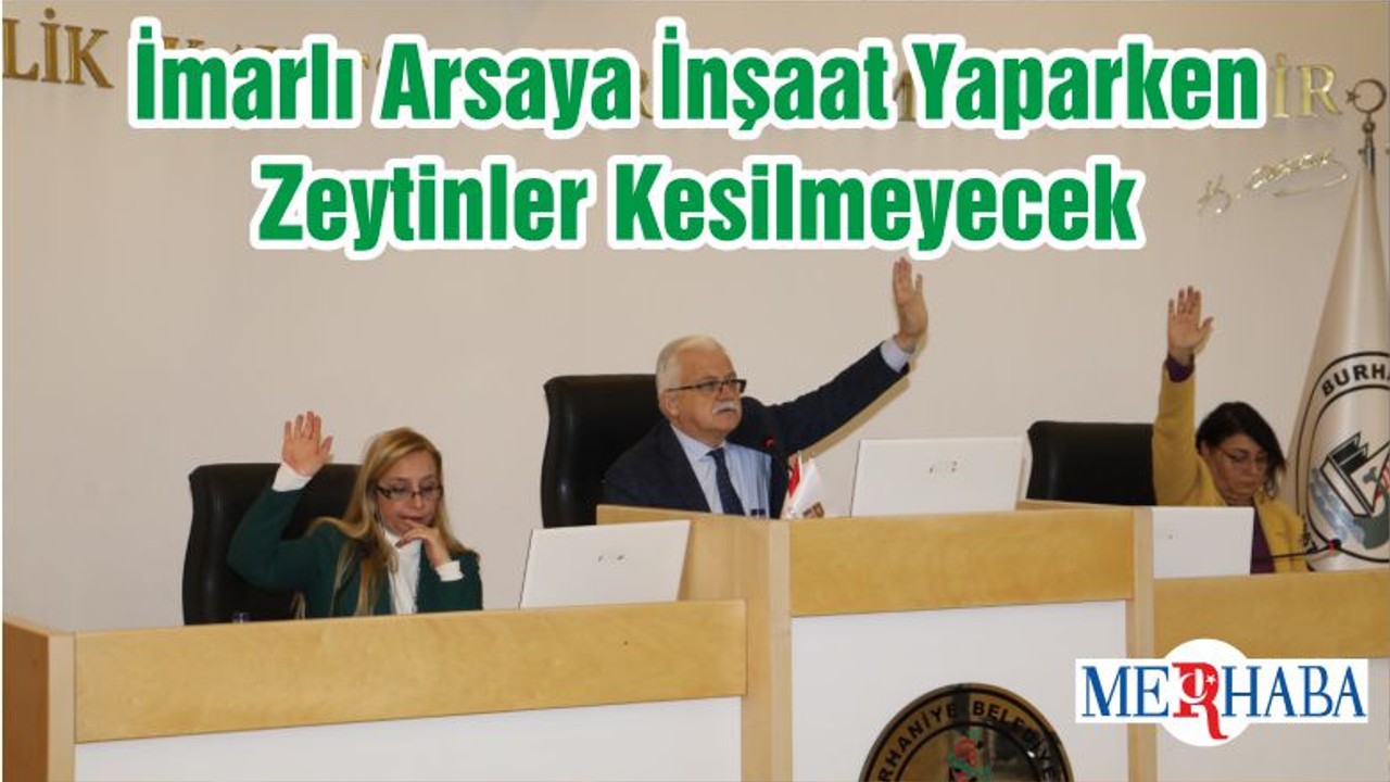 İmarlı Arsaya İnşaat Yaparken Zeytinler Kesilmeyecek