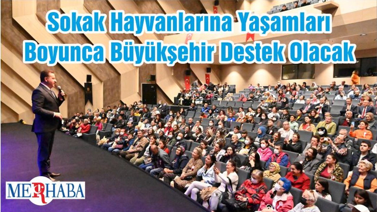 Sokak Hayvanlarına Yaşamları Boyunca Büyükşehir Destek Olacak