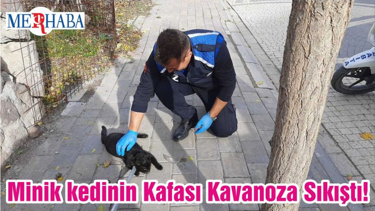 Minik kedinin Kafası Kavanoza Sıkıştı!