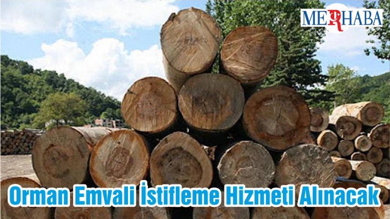 Orman Emvali İstifleme Hizmeti Alınacak