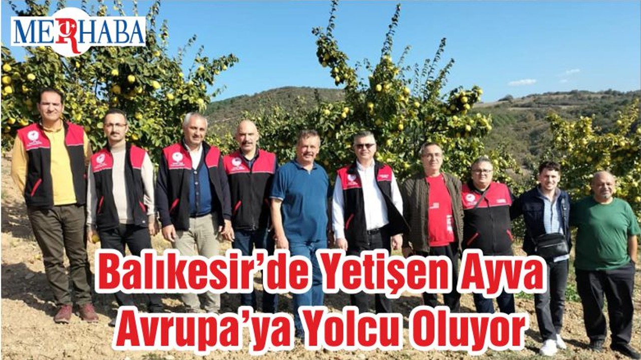Balıkesir’de Yetişen Ayva Avrupa’ya Yolcu Oluyor