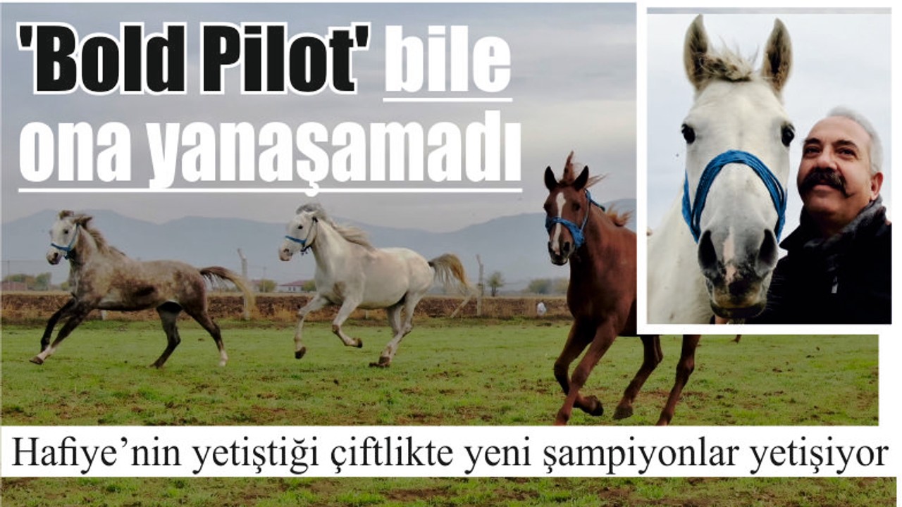 'Bold Pilot' bile ona yanaşamadı