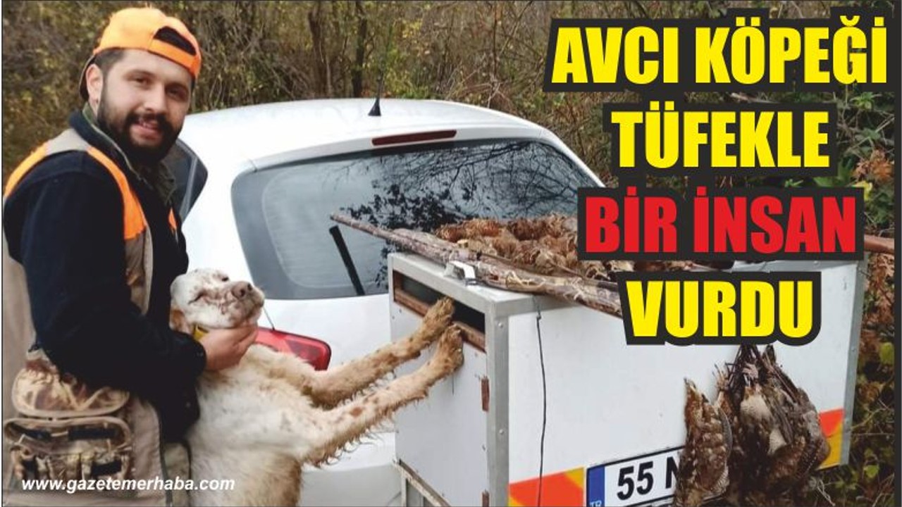 AVCI KÖPEĞİ TÜFEKLE BİR İNSAN VURDU