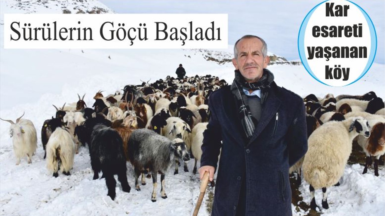 Sürülerin Göçü Başladı