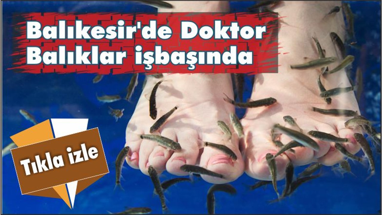BALIKESİR'DE DOKTOR BALIKLAR İŞBAŞINDA
