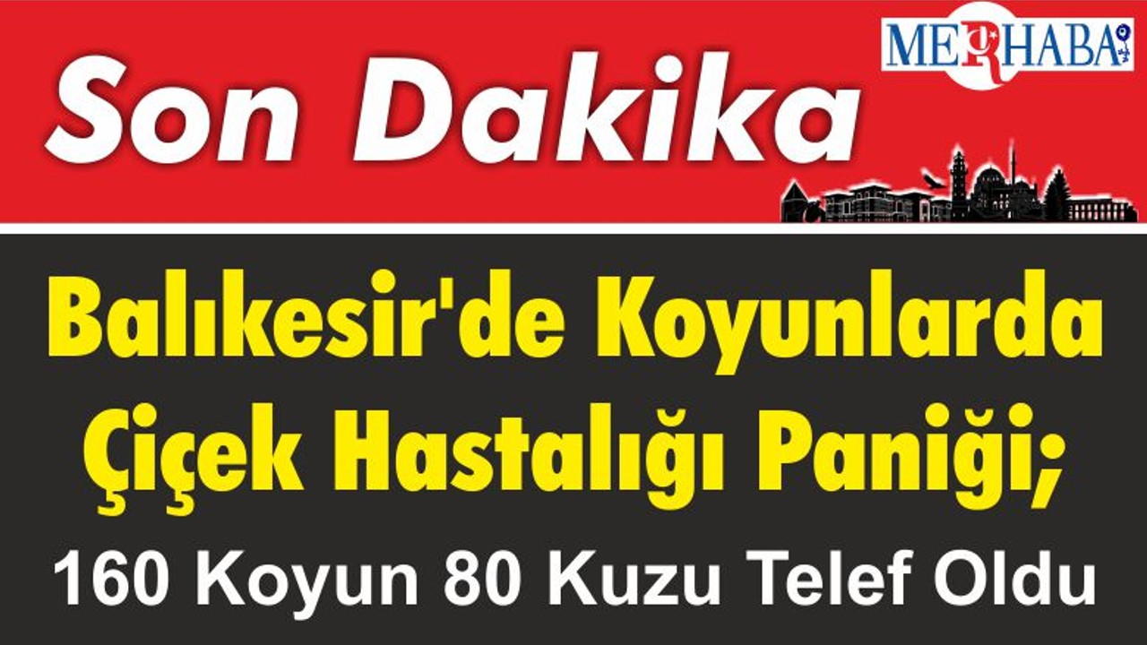Balıkesir'de Koyunlarda Çiçek Hastalığı Paniği; 160 Koyun 80 Kuzu Telef Oldu