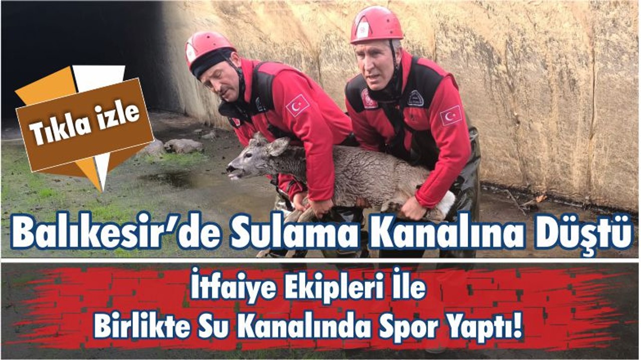 Balıkesir’de Sulama Kanalına Düştü İtfaiye Ekipleri İle Birlikte Su Kanalında Spor Yaptı!
