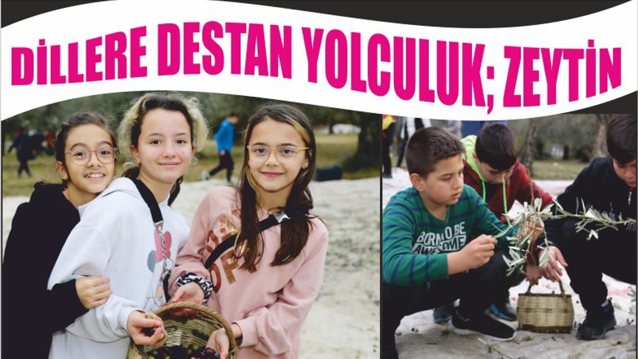 Zeytinin Dillere Destan Yolculuğu