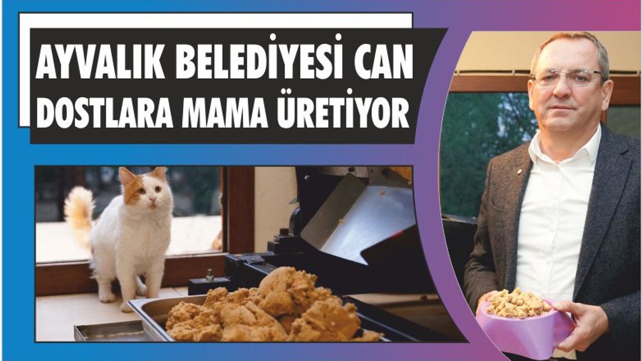 AYVALIK BELEDİYESİ CAN DOSTLARA MAMA ÜRETİYOR