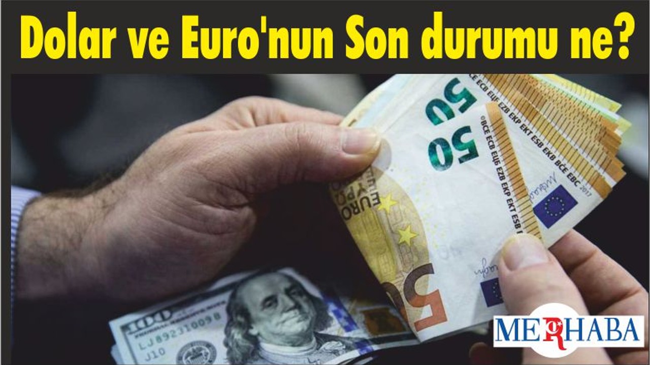 Dolar ve Euro'nun Son durumu ne?