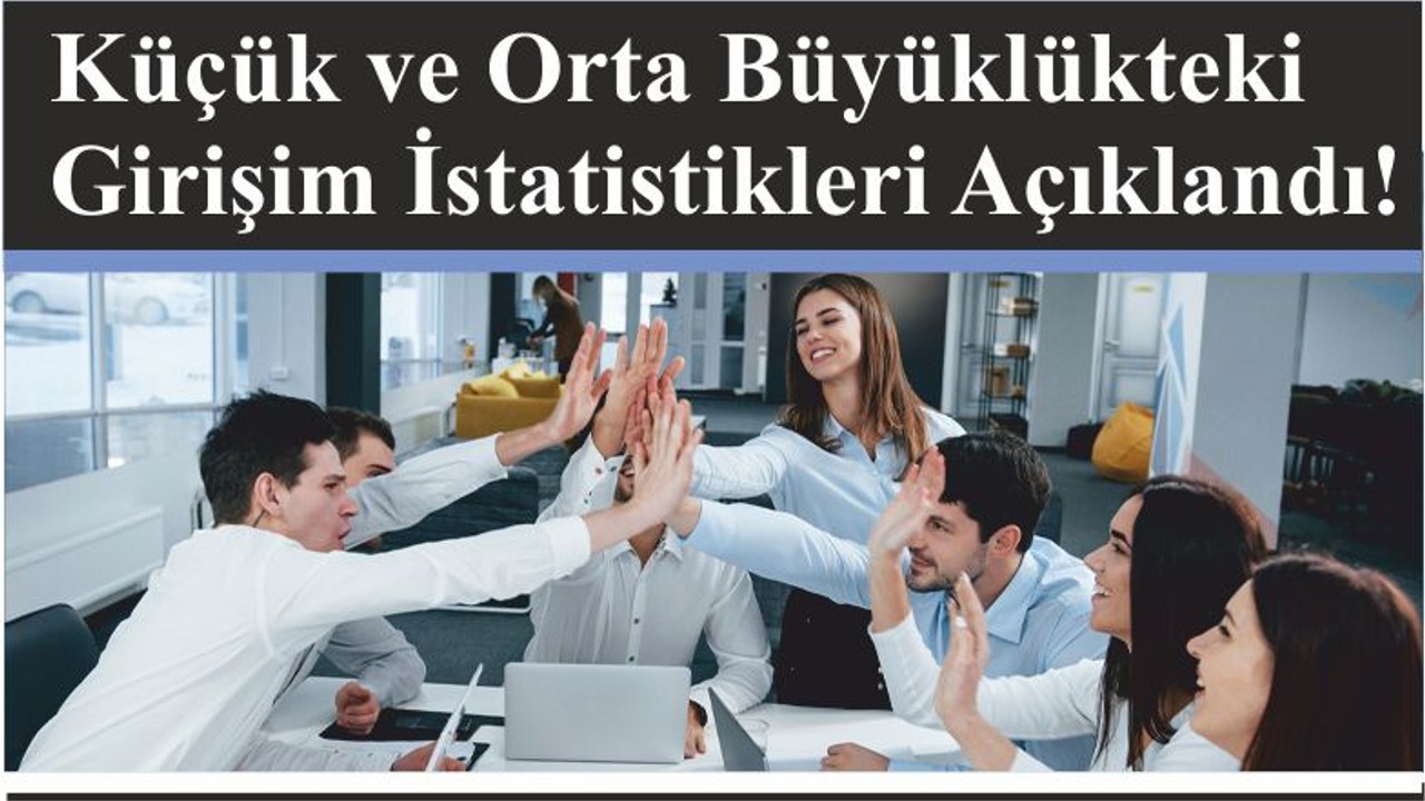 Küçük ve Orta Büyüklükteki Girişim İstatistikleri Açıklandı!