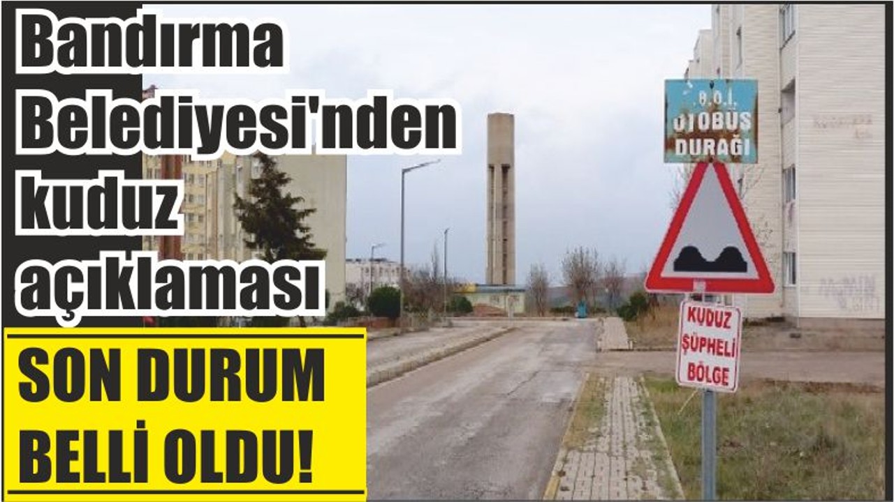 Bandırma Belediyesi'nden kuduz açıklaması