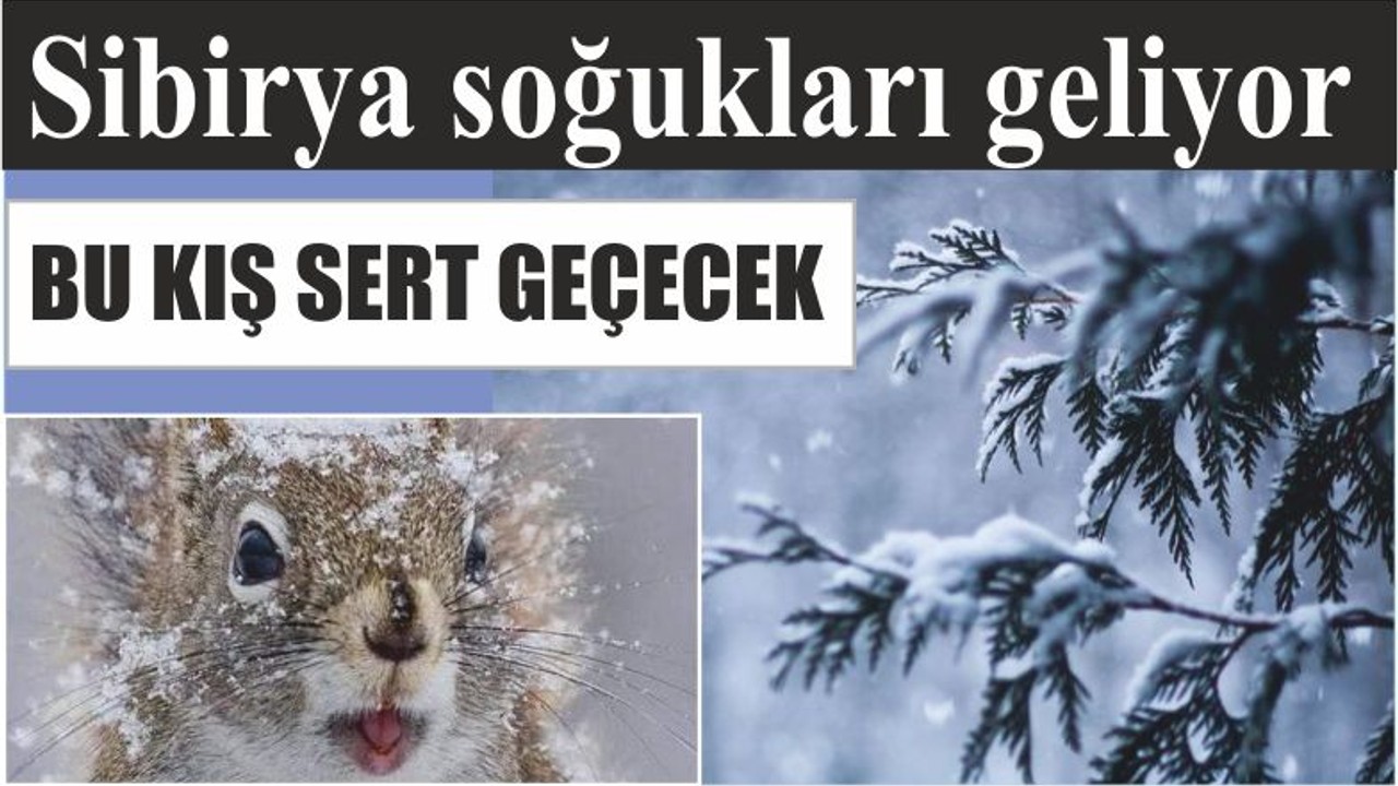 Sibirya soğukları geliyor