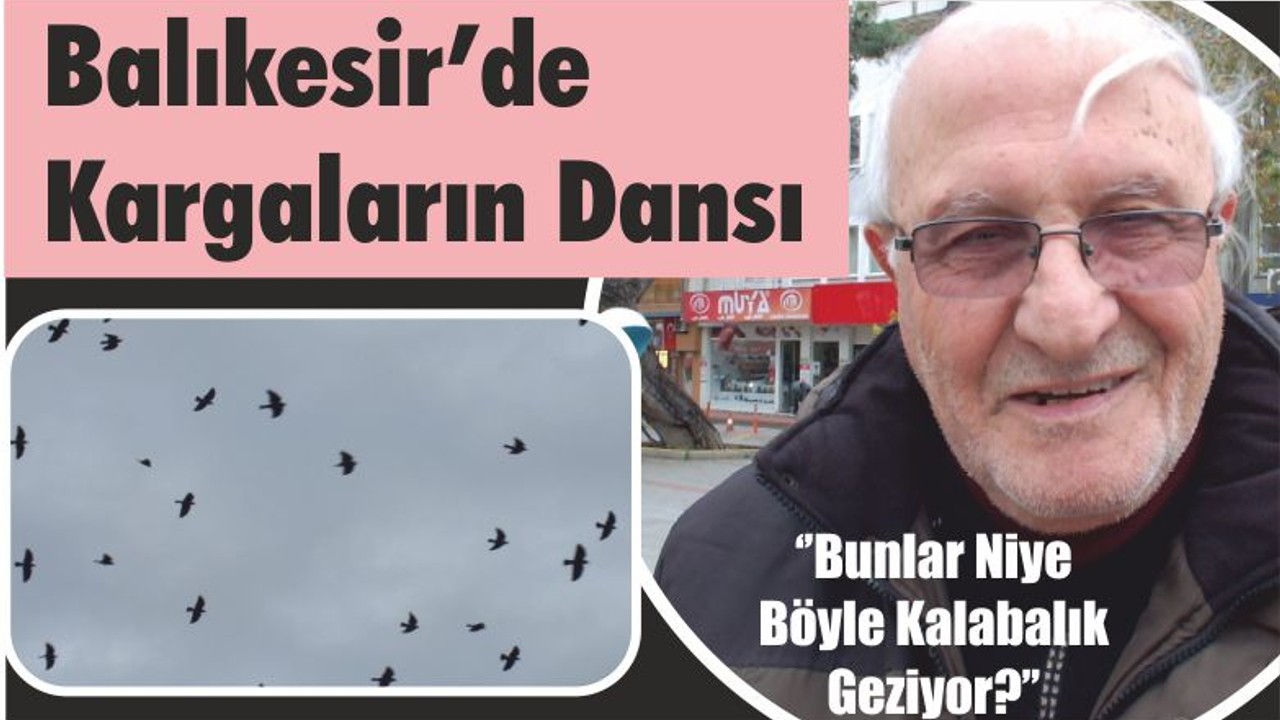 Balıkesir’de Kargaların Dansı