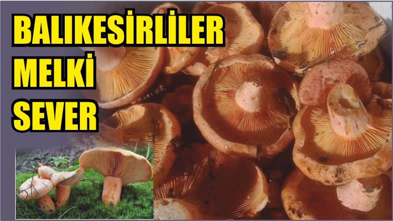 Balıkesirliler Melki Sever