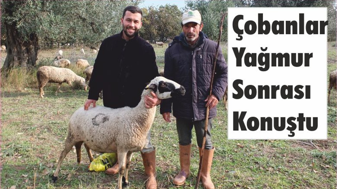Çobanlar Yağmur Sonrası Konuştu