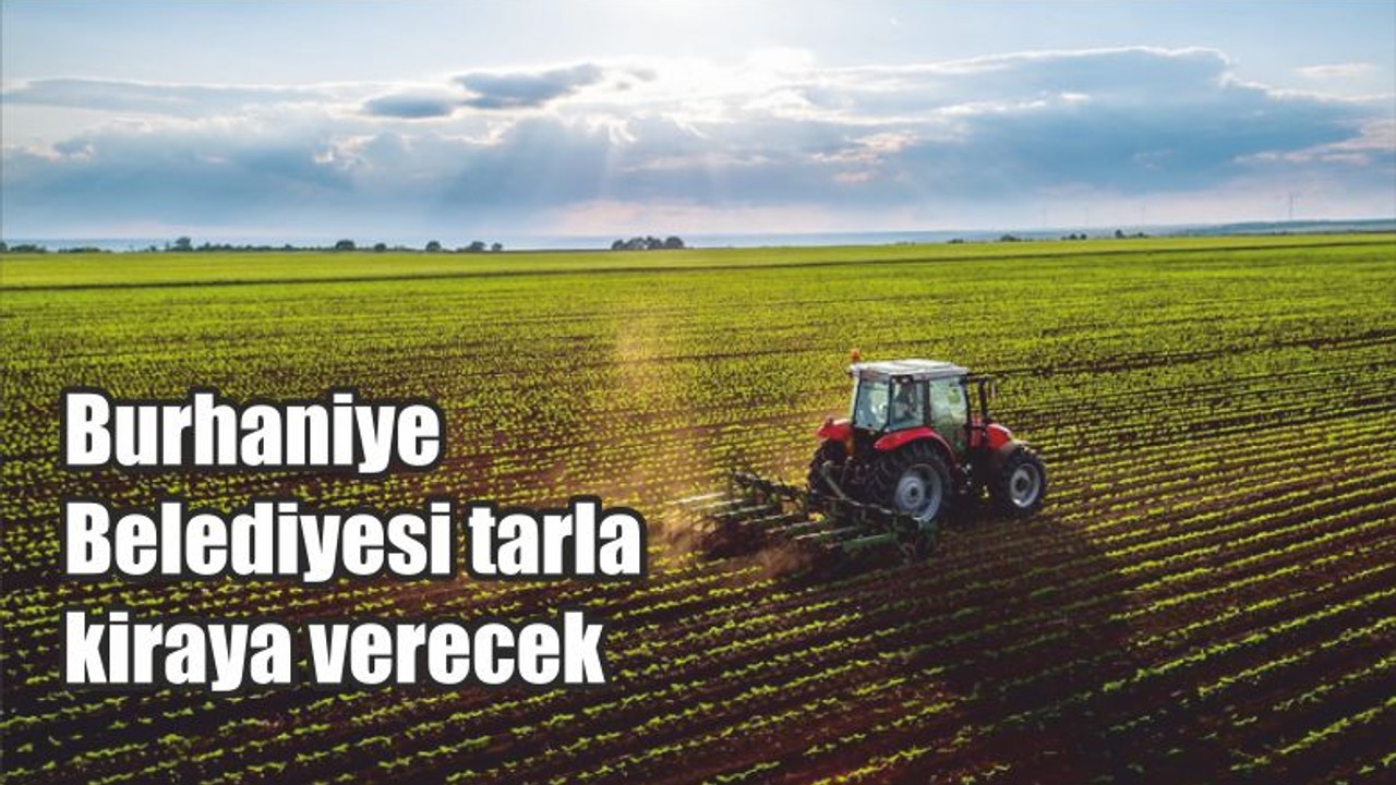 Burhaniye Belediyesi tarla kiraya verecek