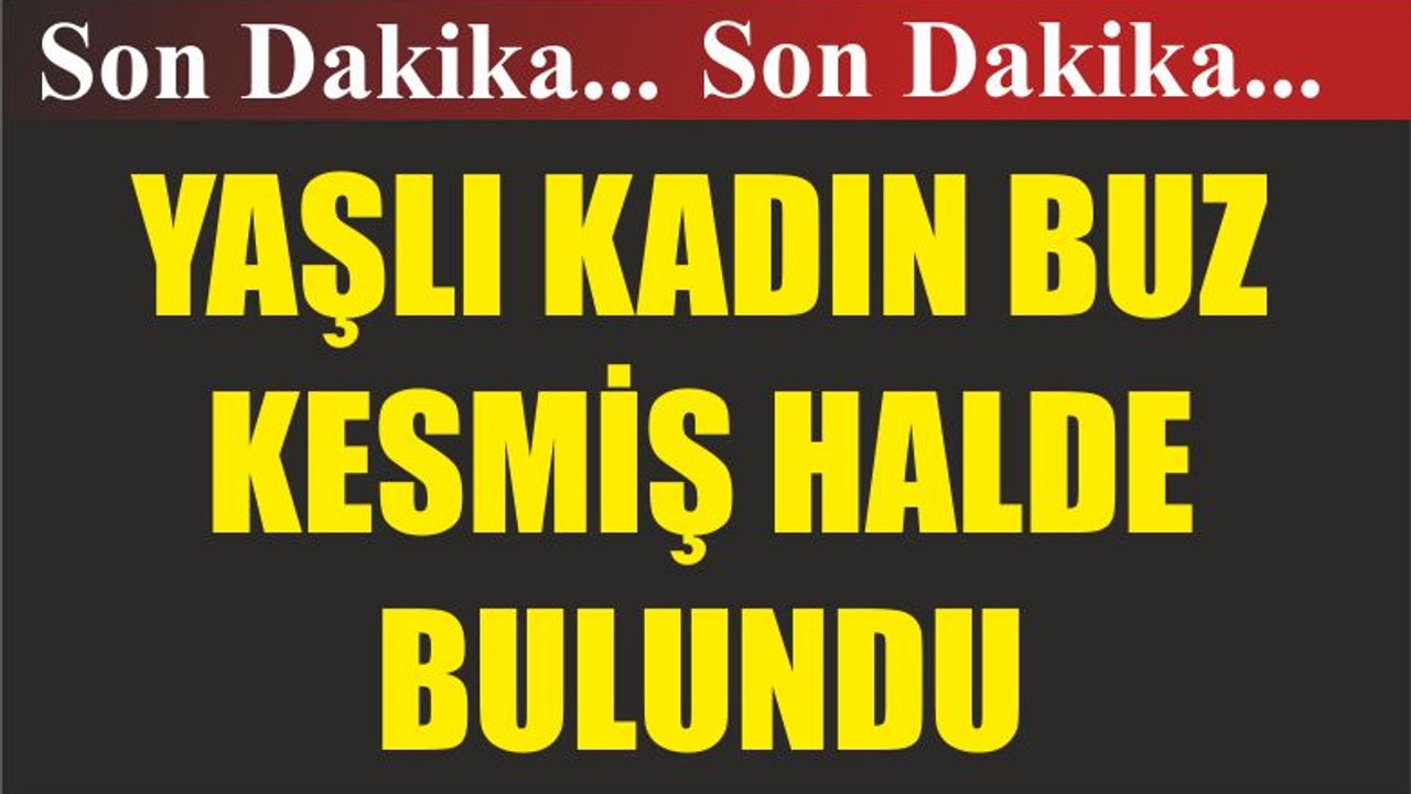 AFAD Ekipleri Yaşlı Kadını Buz Kesmiş Halde Buldu