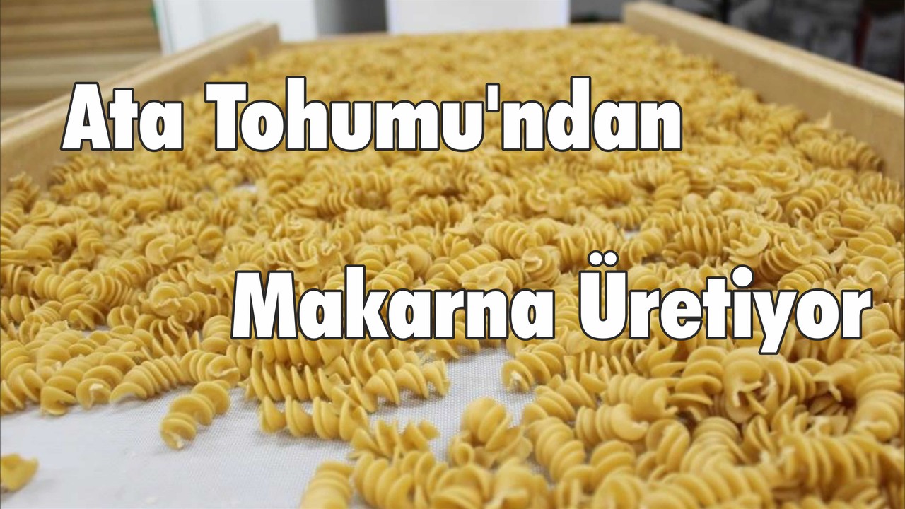Ata Tohumu'ndan Makarna Üretiyor