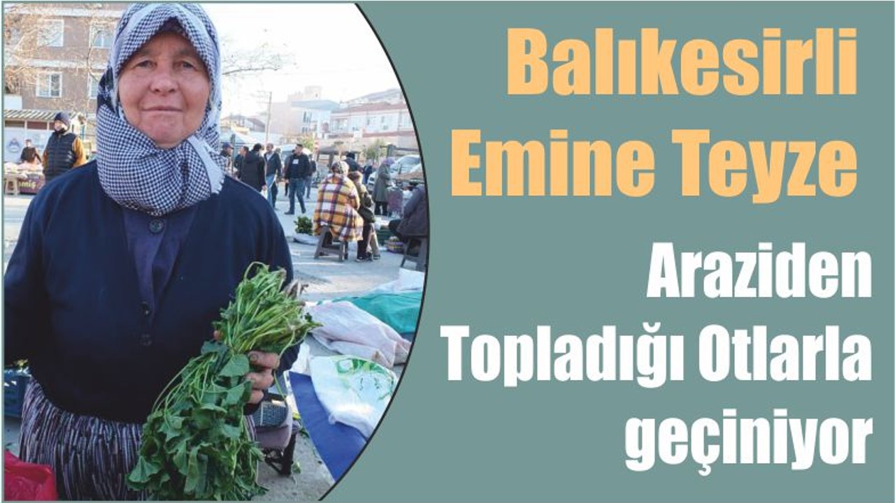 Balıkesirli Emine Teyze Araziden Topladığı Otlarla geçiniyor