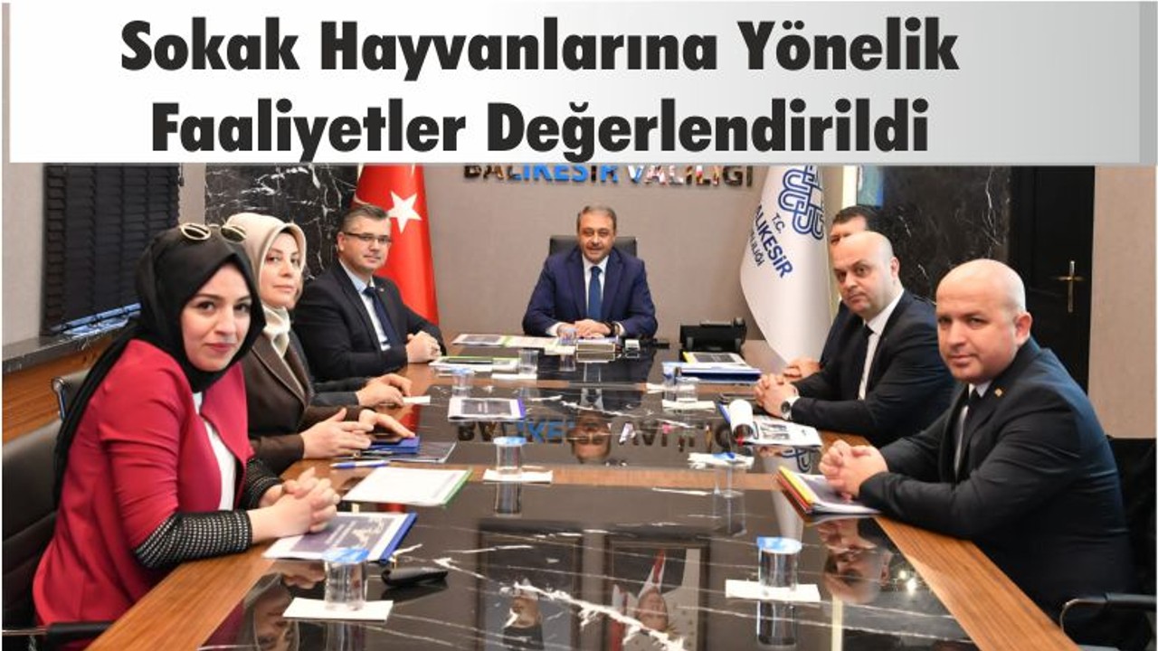 Sokak Hayvanlarına Yönelik Faaliyetler Değerlendirildi