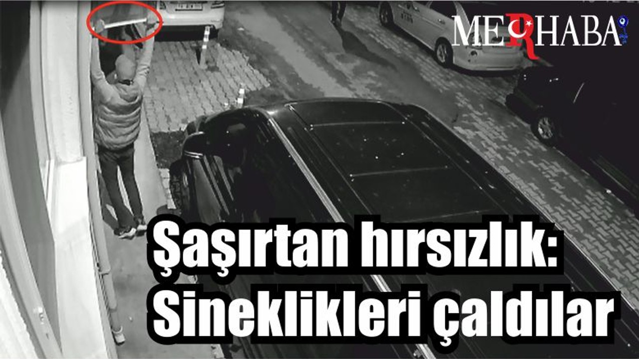 Şaşırtan hırsızlık: Sineklikleri çaldılar