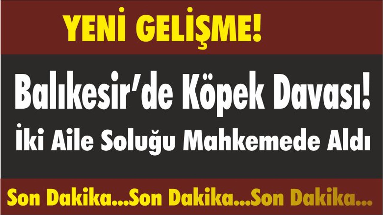 Balıkesir’de Köpek Davası! İki Aile Soluğu Mahkemede Aldı
