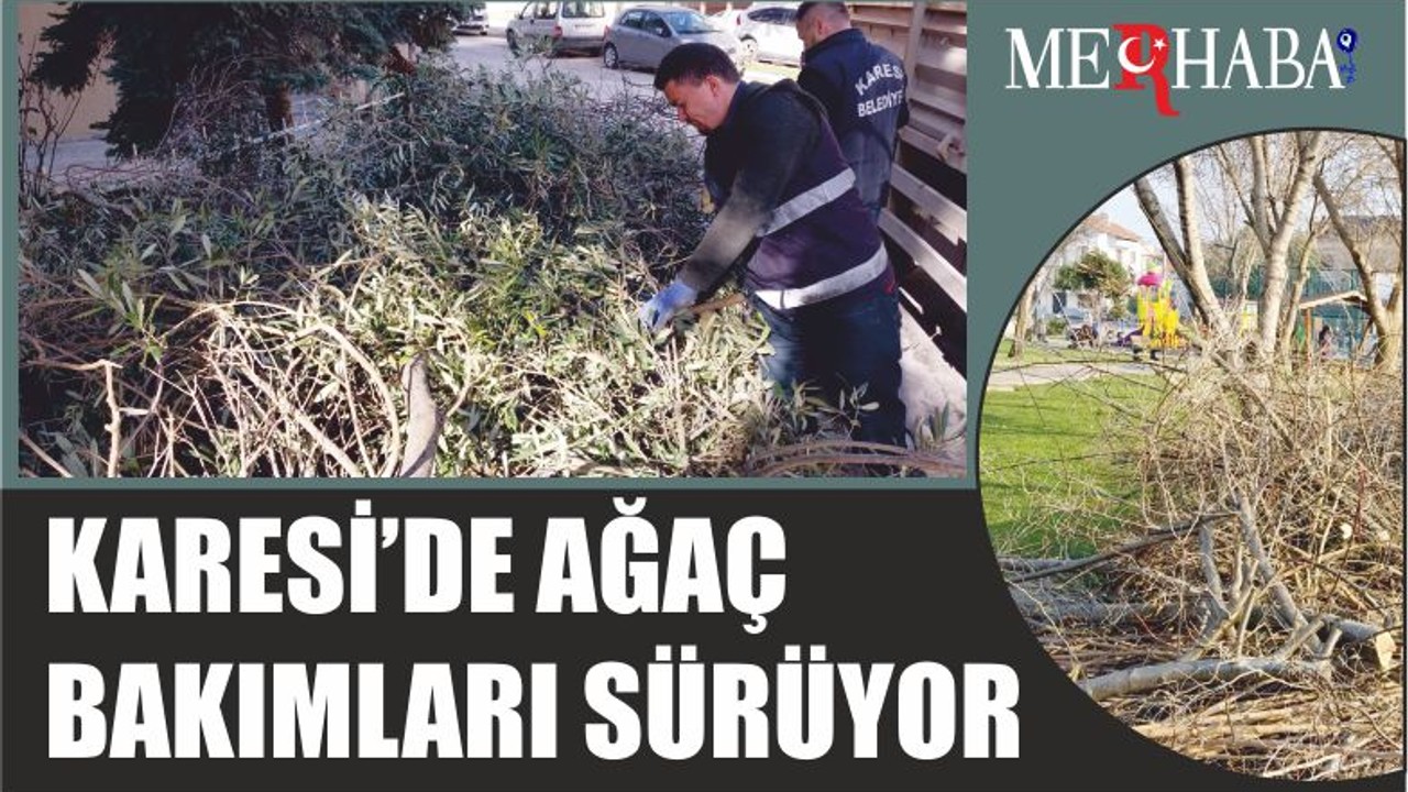 KARESİ’DE AĞAÇ BAKIMLARI SÜRÜYOR