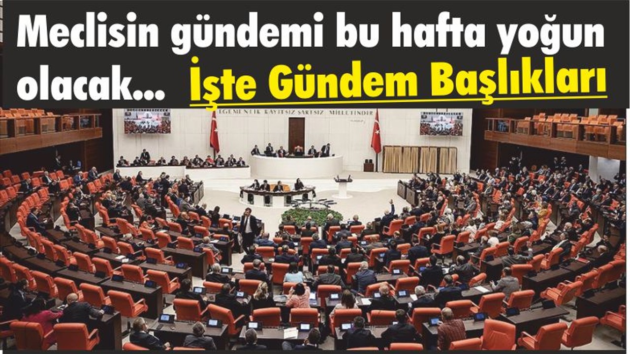 Meclisin gündemi bu hafta yoğun olacak! İşte Gündem Başlıkları