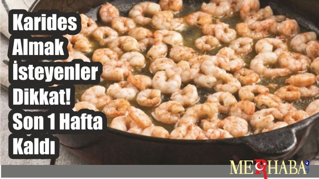 Karides Almak İsteyenler Dikkat! Son 1 Hafta Kaldı