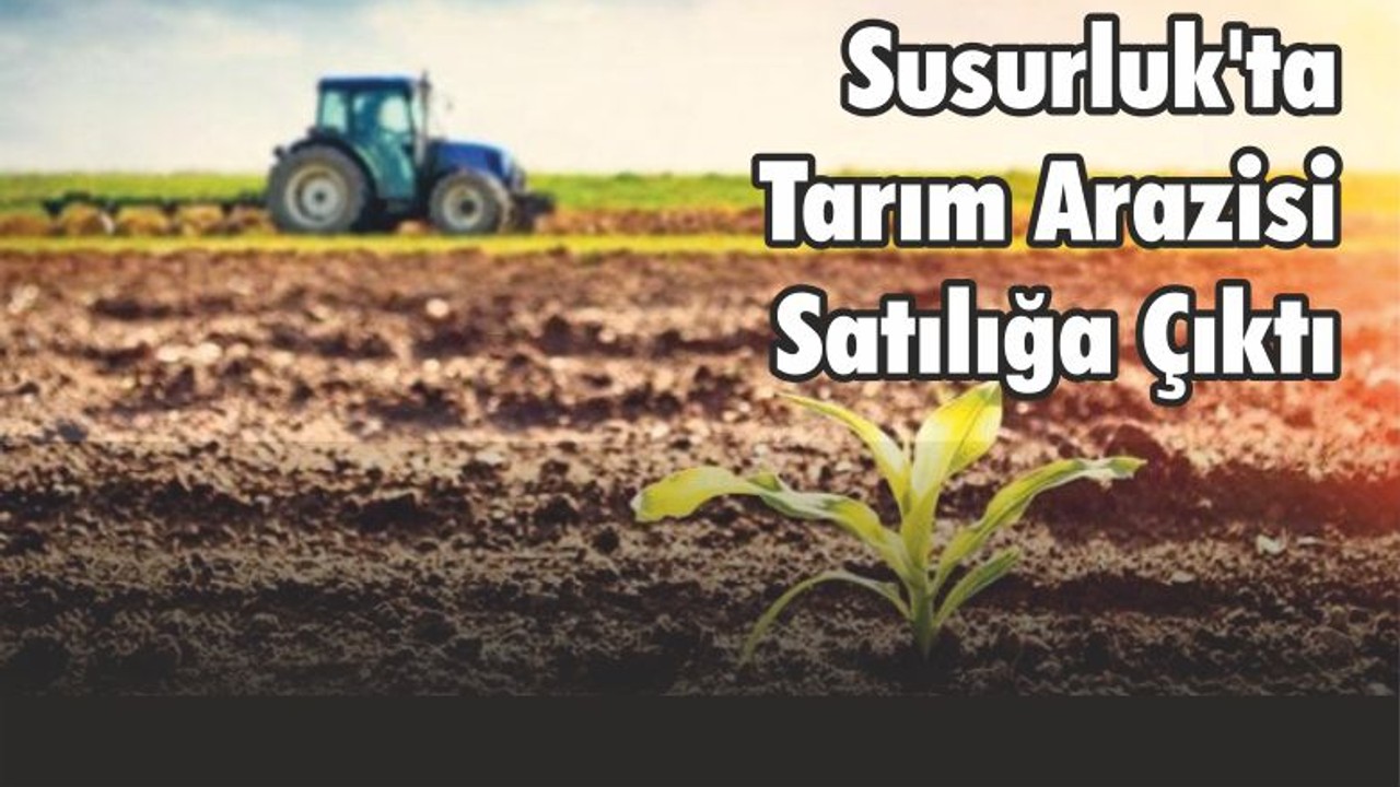 Susurluk'ta Tarım Arazisi Satılığa Çıktı