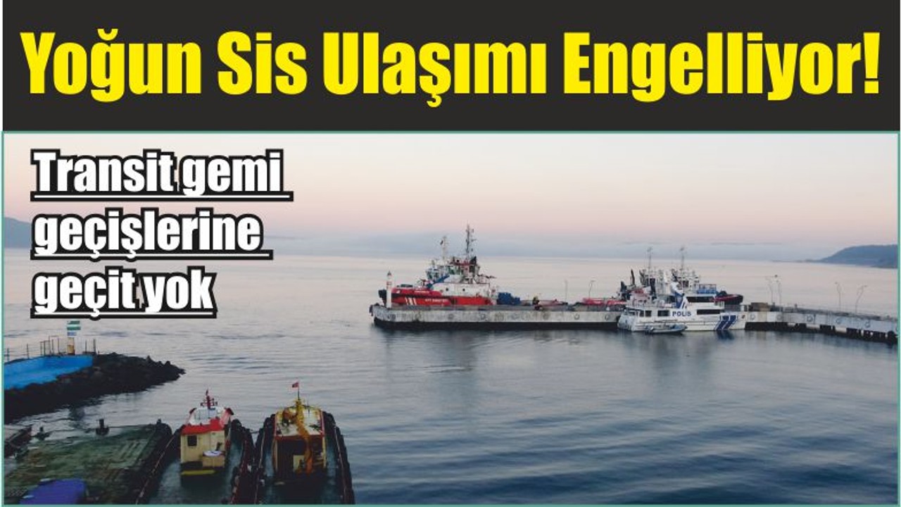 Yoğun Sis Ulaşımı Engelliyor! Transit gemi geçişlerine geçit yok