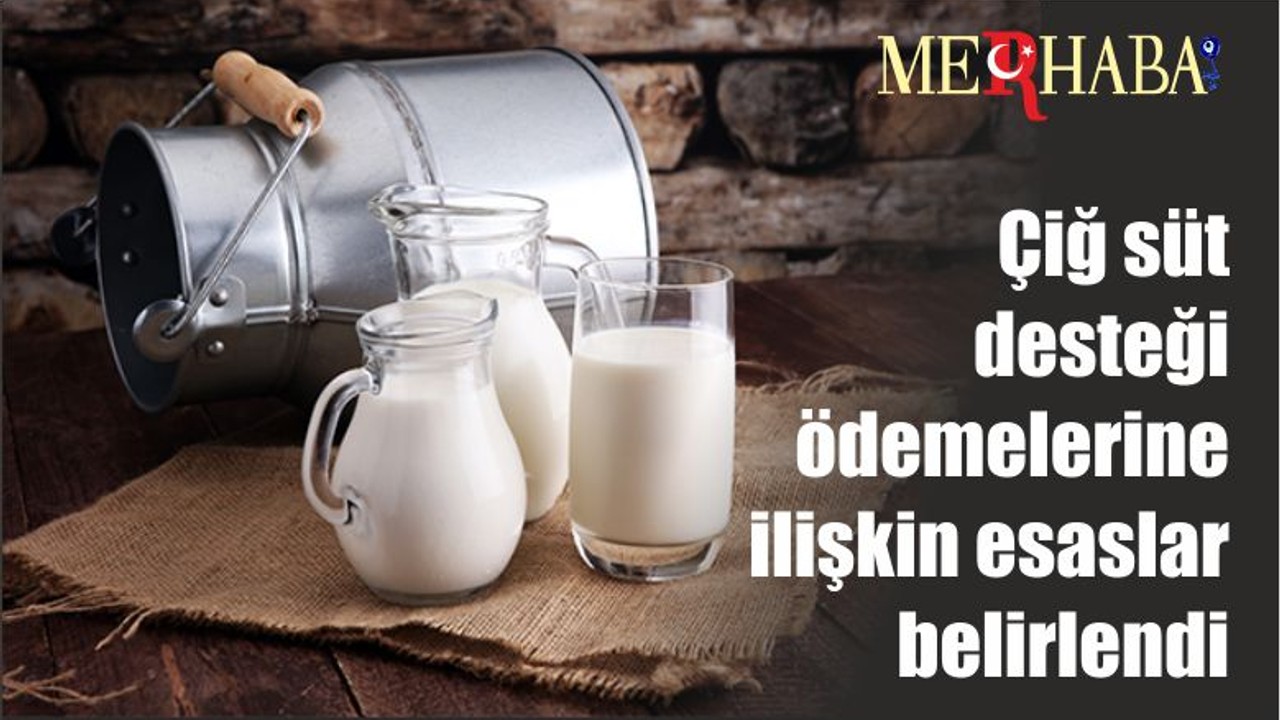 Çiğ süt desteği ödemelerine ilişkin esaslar belirlendi