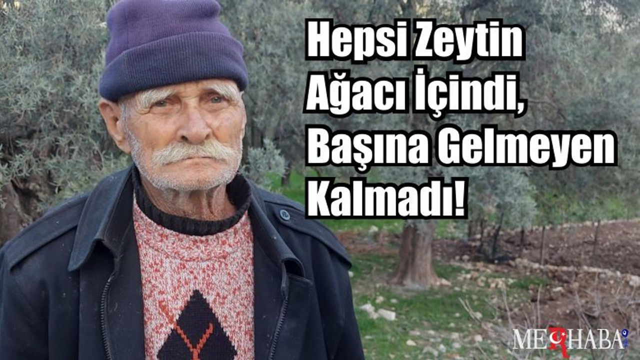 Hepsi Zeytin Ağacı İçindi, Başına Gelmeyen Kalmadı!