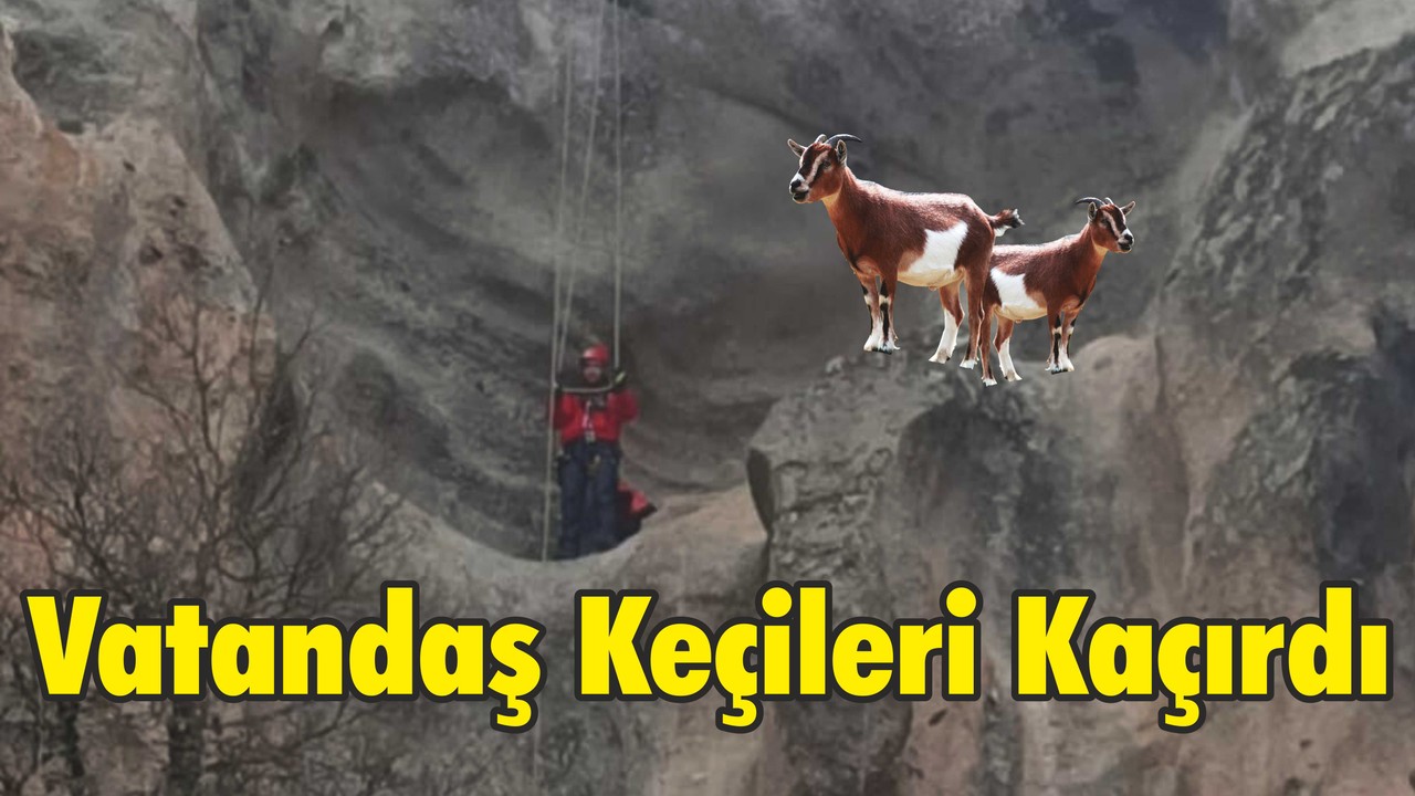 Vatandaş Keçileri Kaçırdı
