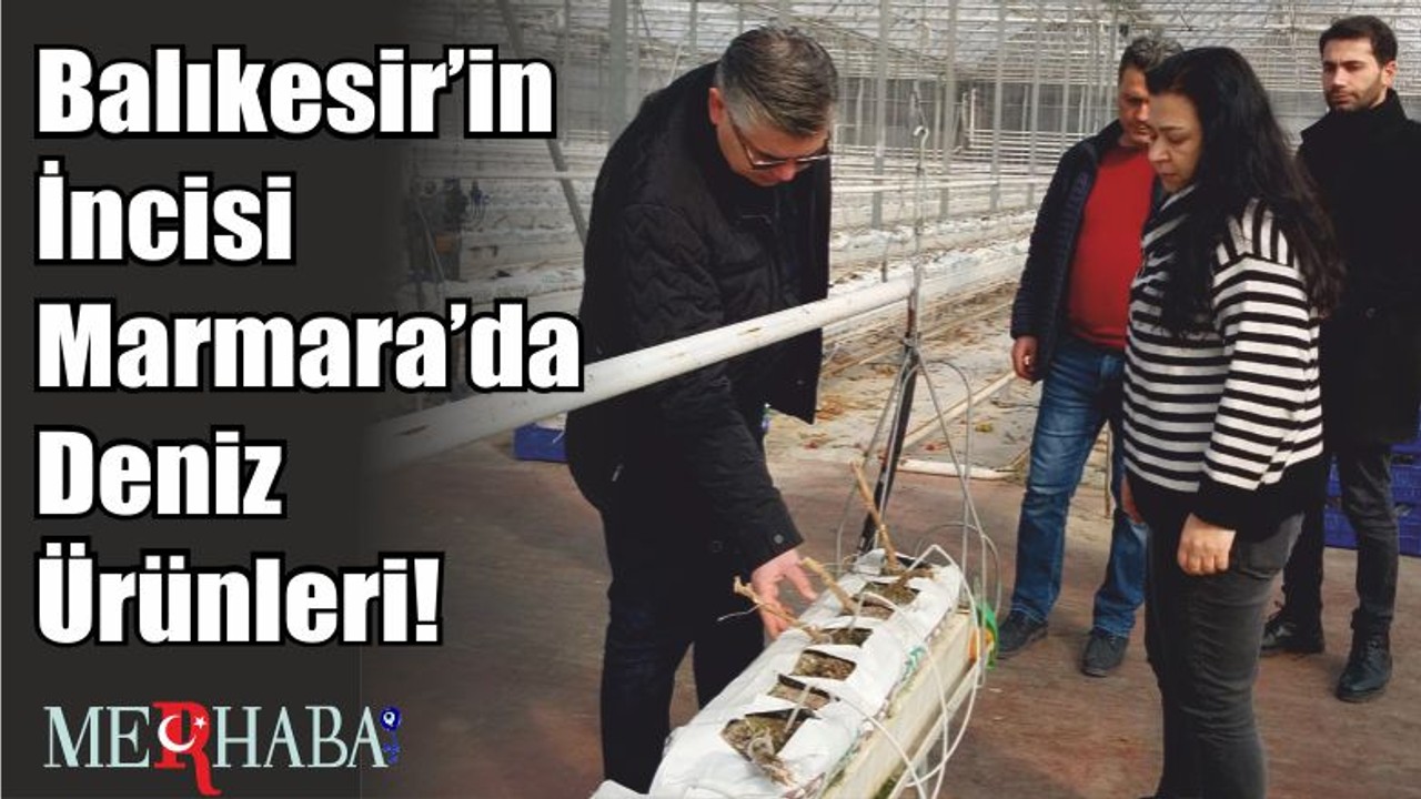 Balıkesir’in İncisi Marmara’da Deniz Ürünleri!