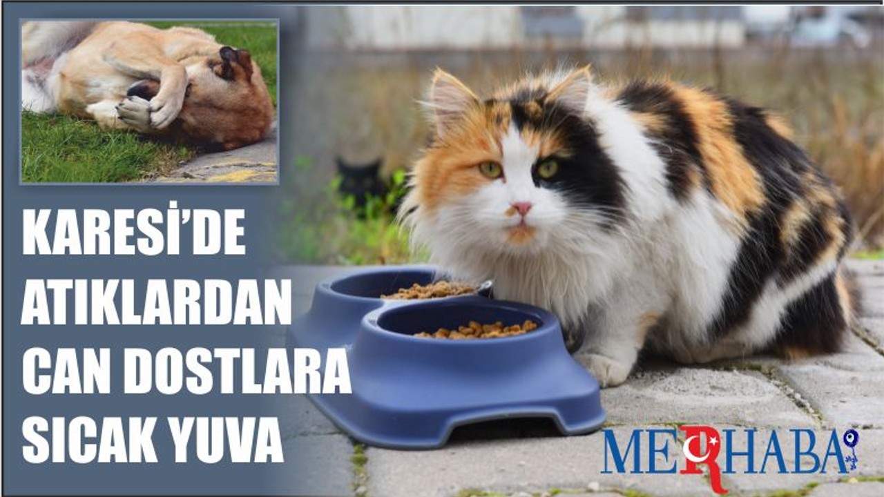 Karesi'de Can Dostlara Sıcak yuva