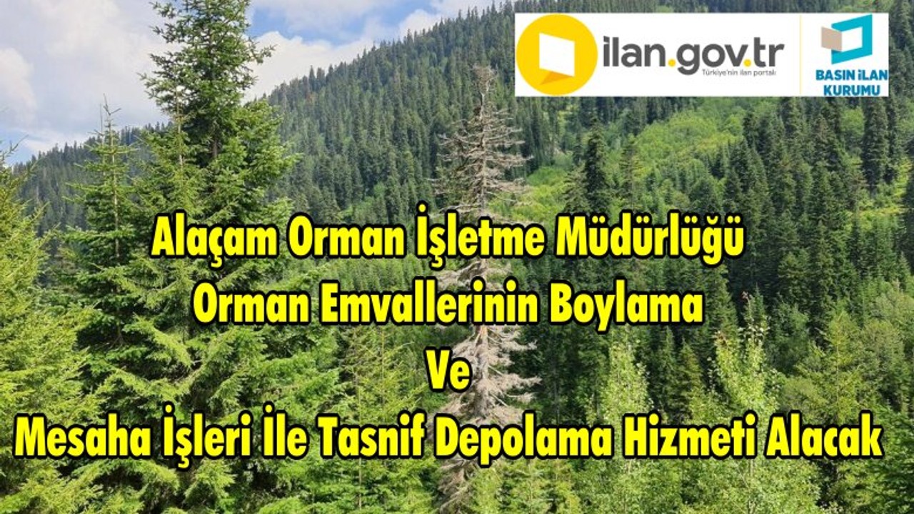 Alaçam Orman İşletme Müdürlüğü Orman Emvallerinin Boylama Ve Mesaha İşleri İle Tasnif Depolama Hizmeti Alacak