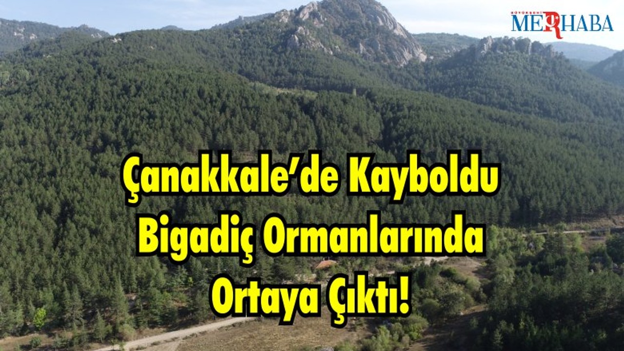 Çanakkale’de Kayboldu Bigadiç Ormanlarında Ortaya Çıktı