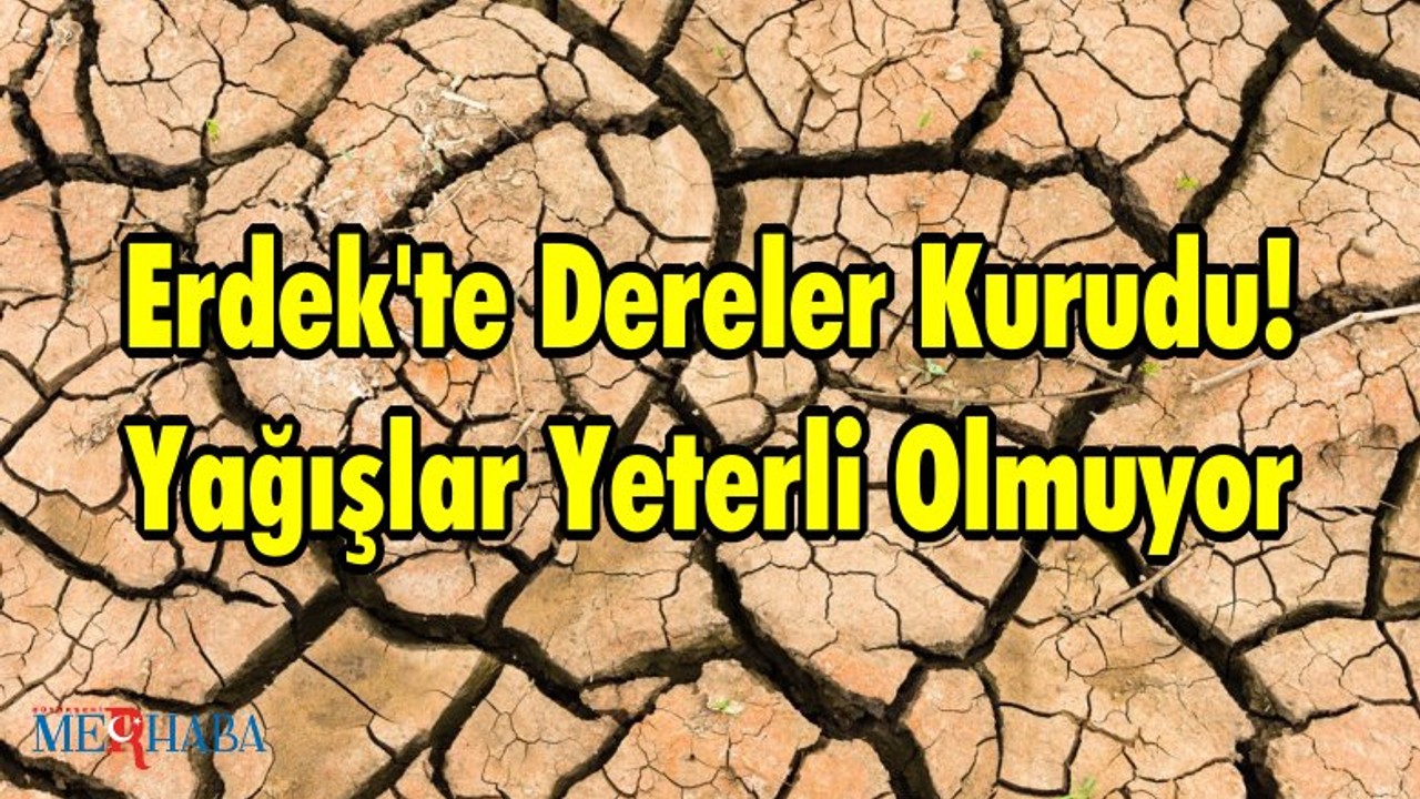 Dereler Kurudu! Yağışlar Yeterli Olmuyor